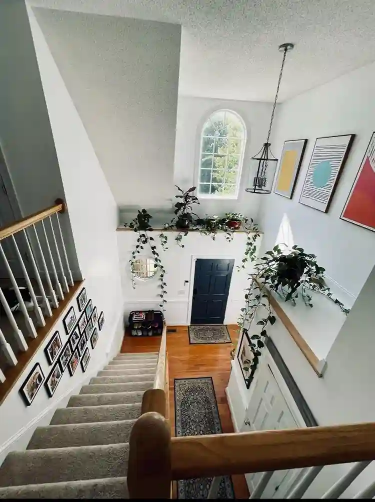 Looking for one chill roomie