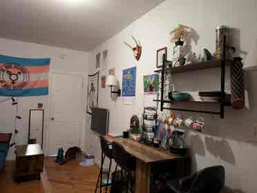 Sunny East Williamsburg Room