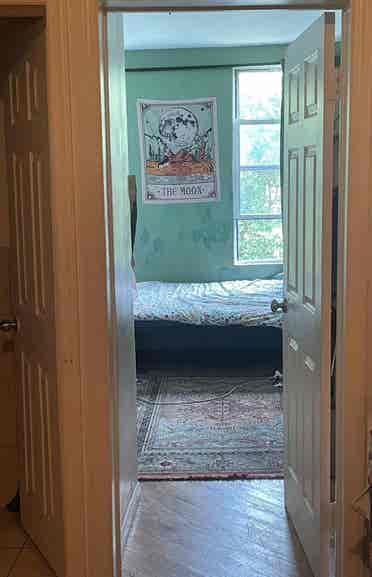 Sunny East Williamsburg Room