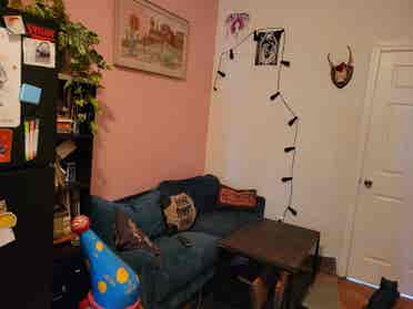 Sunny East Williamsburg Room