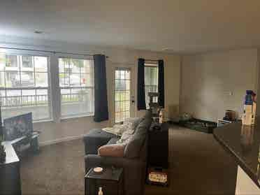 additional roomate wanted! :)