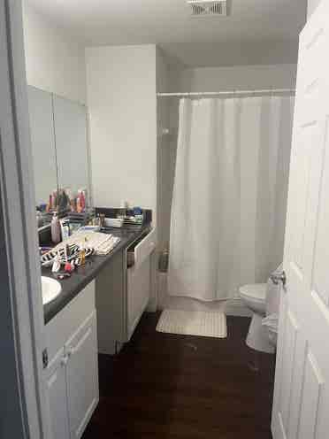 additional roomate wanted! :)