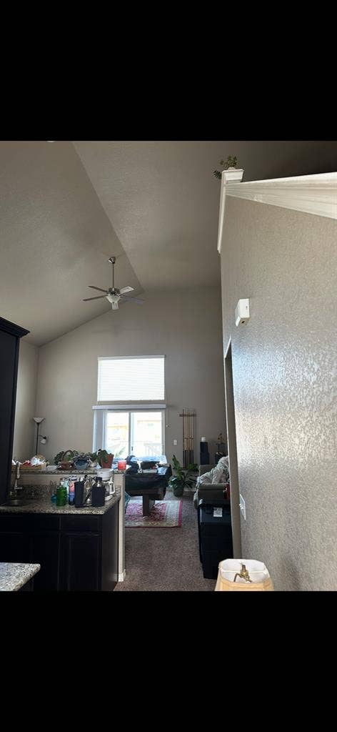 Looking for 1 roommate!