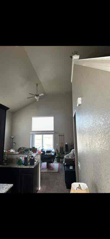 Looking for 1 roommate!