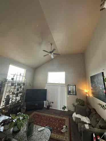 Looking for 1 roommate!