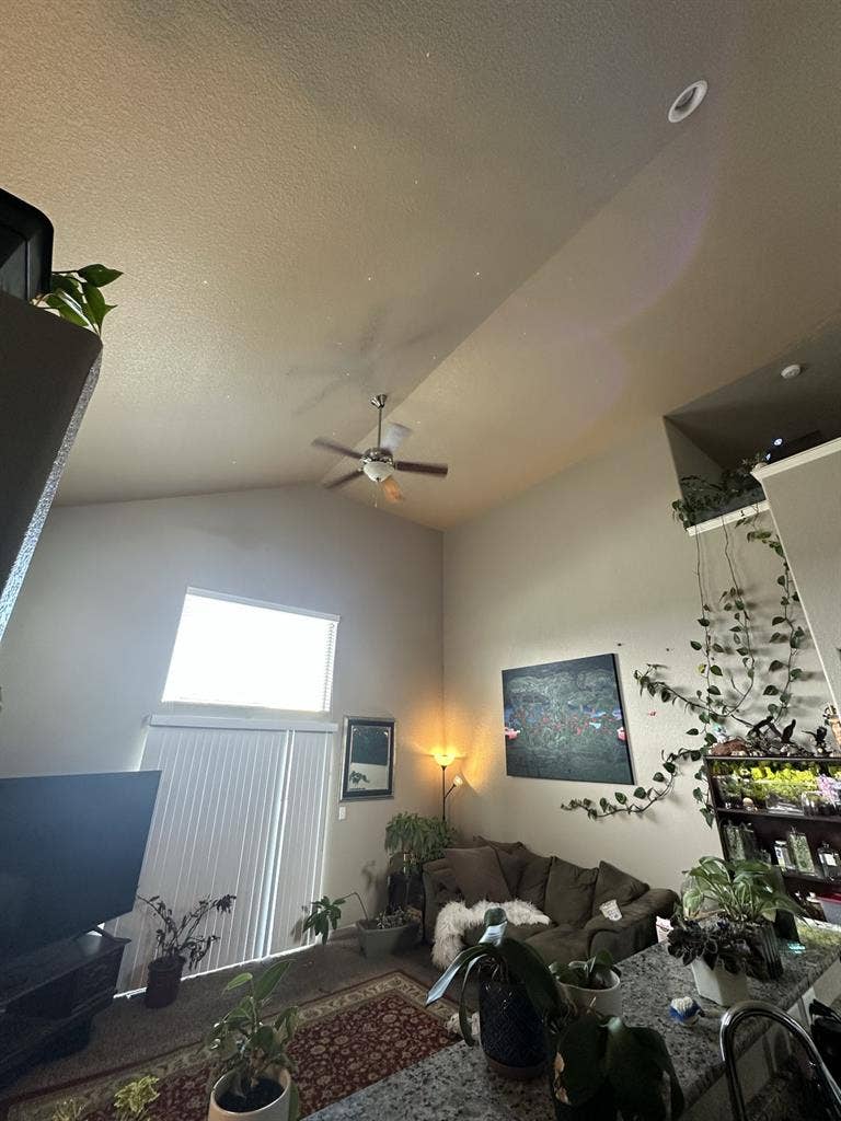 Looking for 1 roommate!