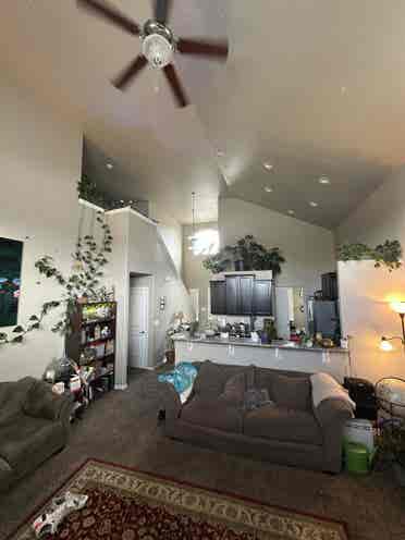 Looking for 1 roommate!