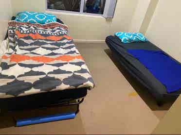 Female share room Sydney CBD