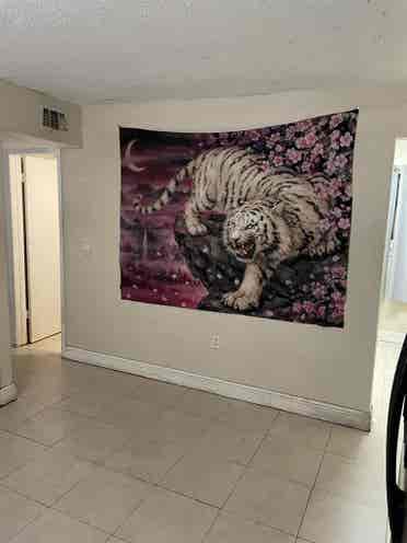 Nice room in Allapattah Miami fl