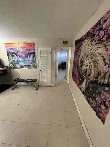 Nice room in Allapattah Miami fl