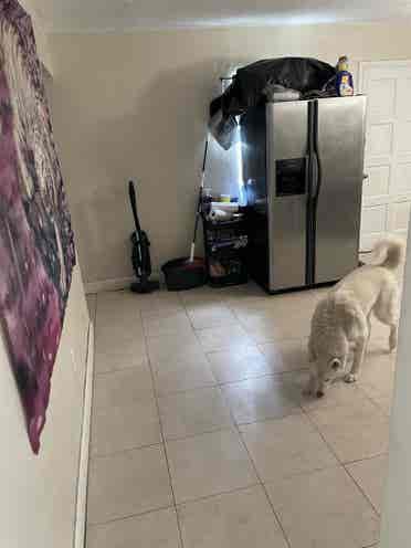 Nice room in Allapattah Miami fl