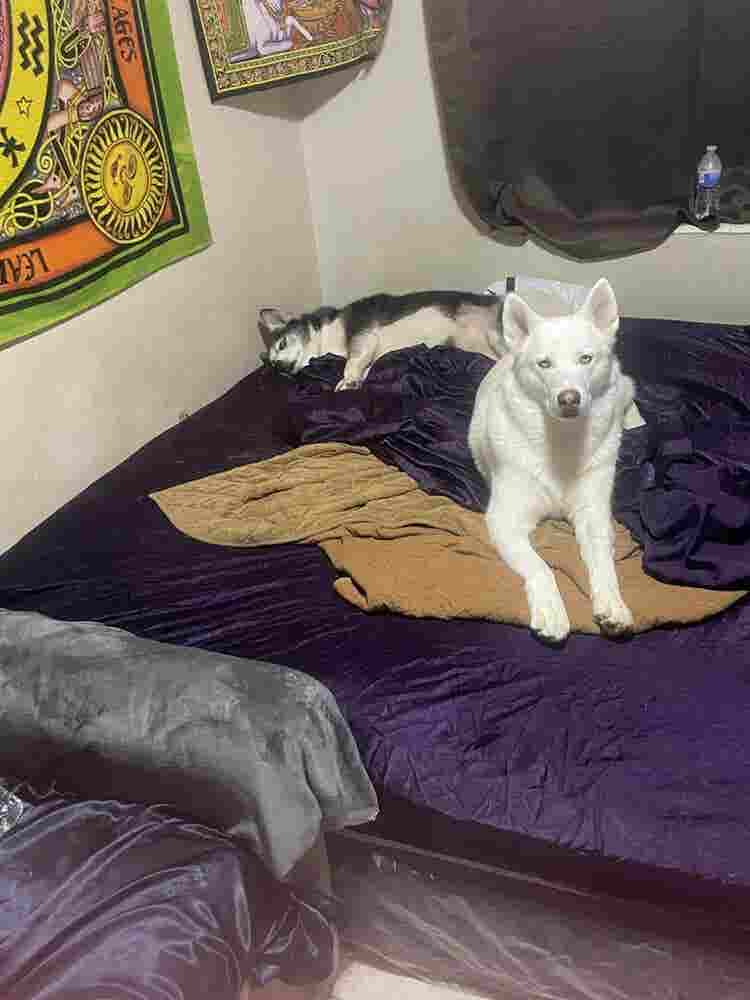 Nice room in Allapattah Miami fl