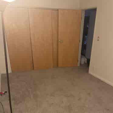 Looking for a clean calm roommate