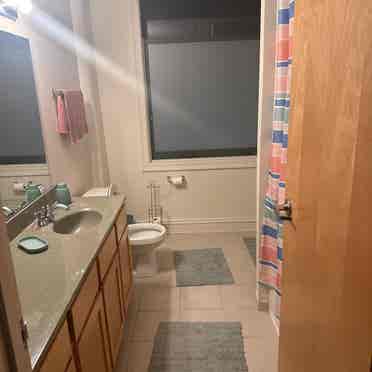 Looking for a clean calm roommate