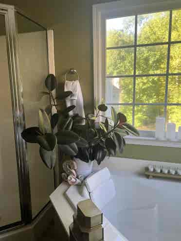 Beautiful  Master w/ kitchenette
