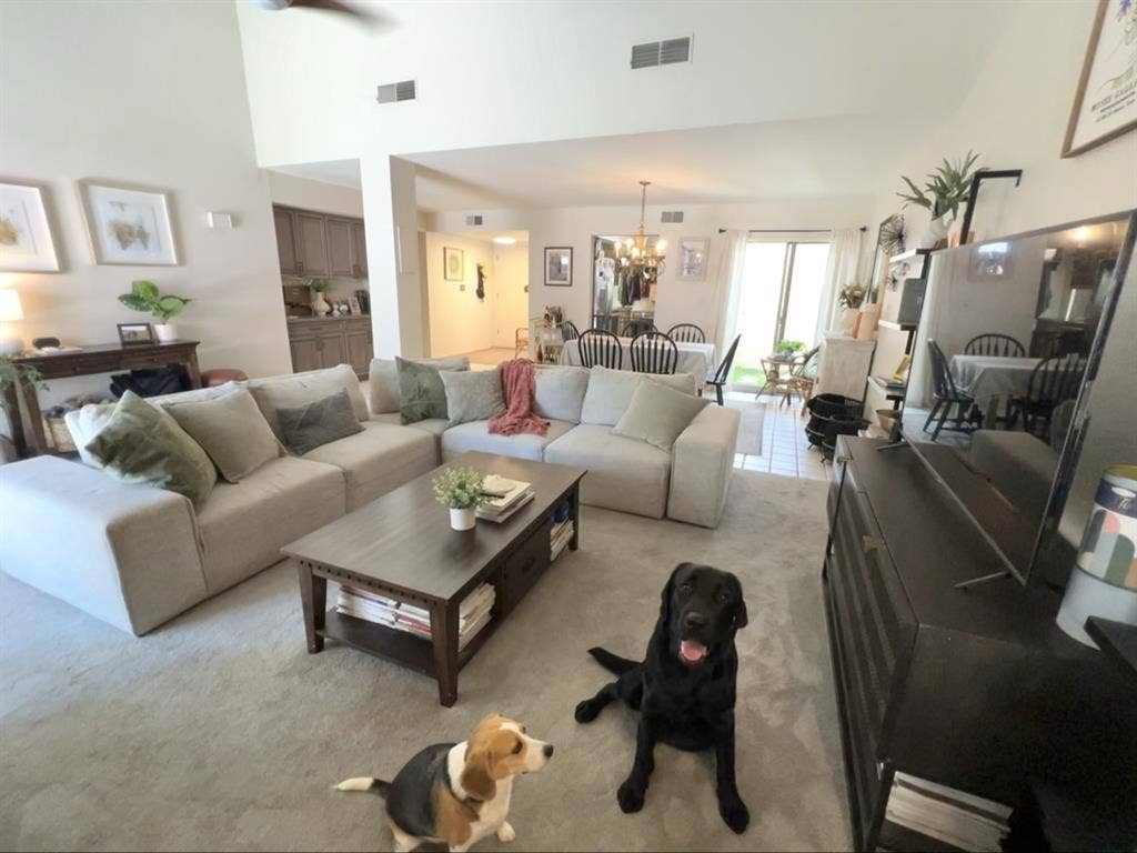 Looking for third roommate!