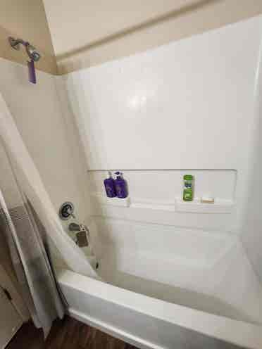 Roommate wanted $/month
