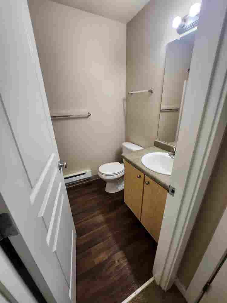 Roommate wanted $/month