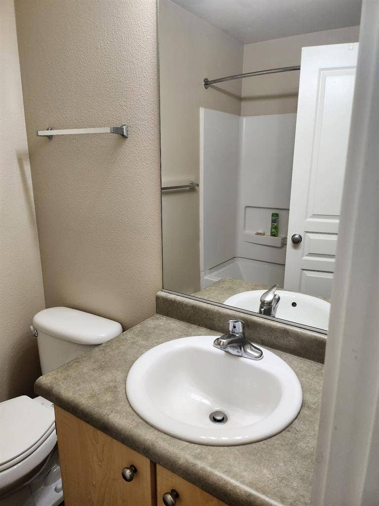 Roommate wanted $/month