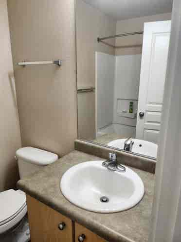 Roommate wanted $/month