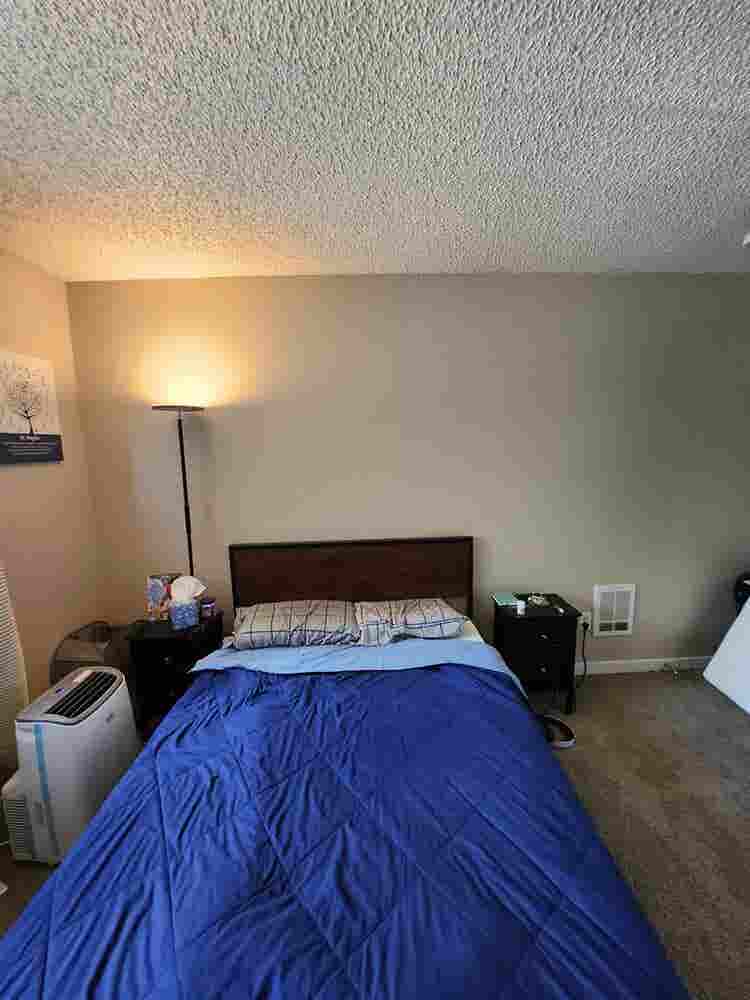 Roommate wanted $/month