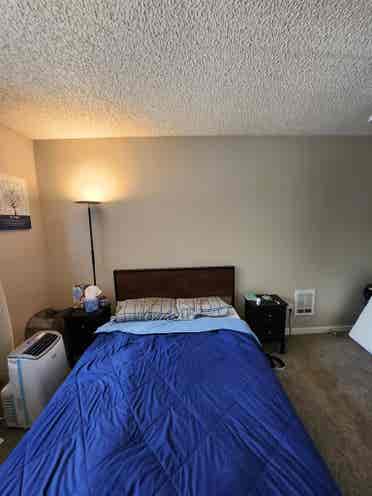 Roommate wanted $/month