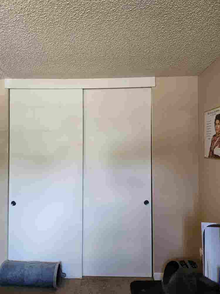 Roommate wanted $/month