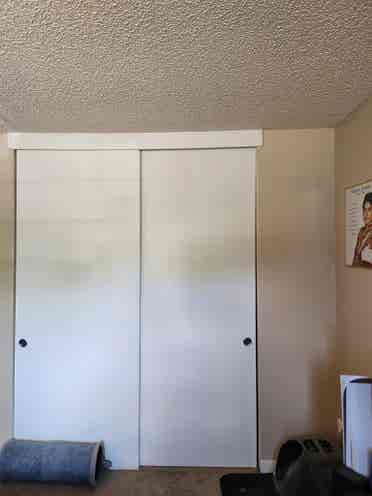 Roommate wanted $/month