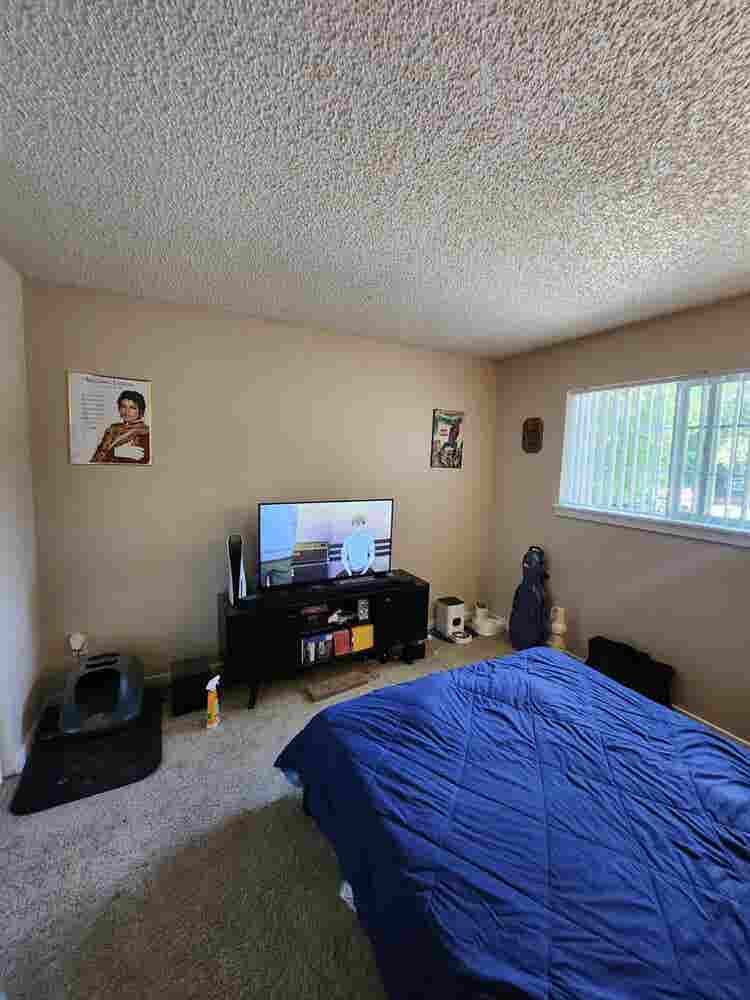 Roommate wanted $/month