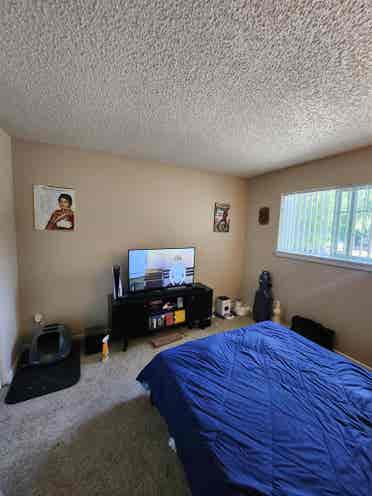 Roommate wanted $/month