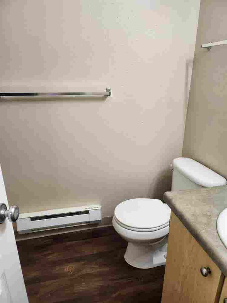 Roommate wanted $/month