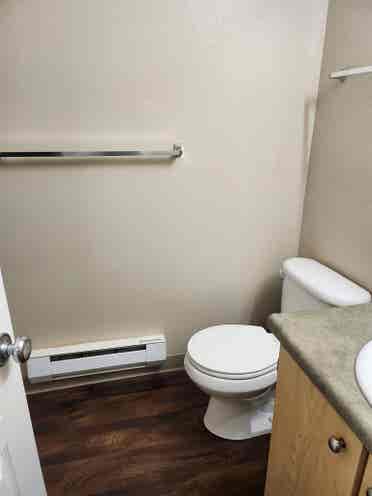 Roommate wanted $/month