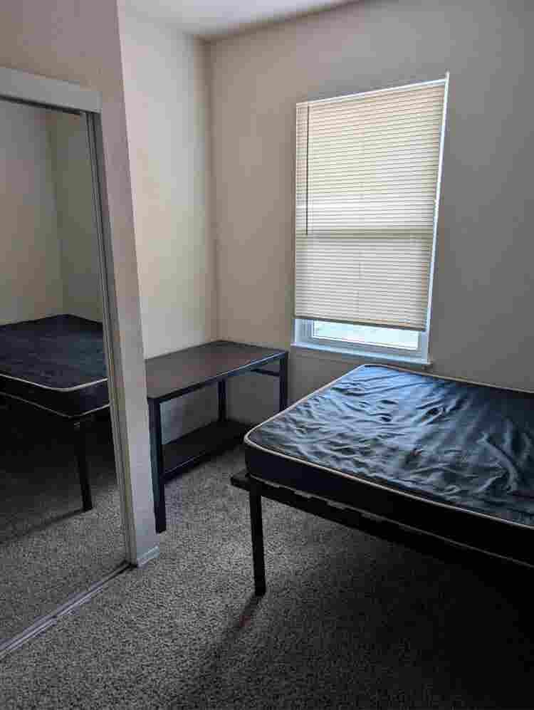 Theverge Orlando Roomate