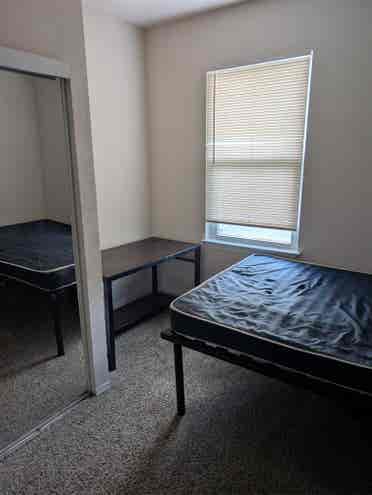 Theverge Orlando Roomate
