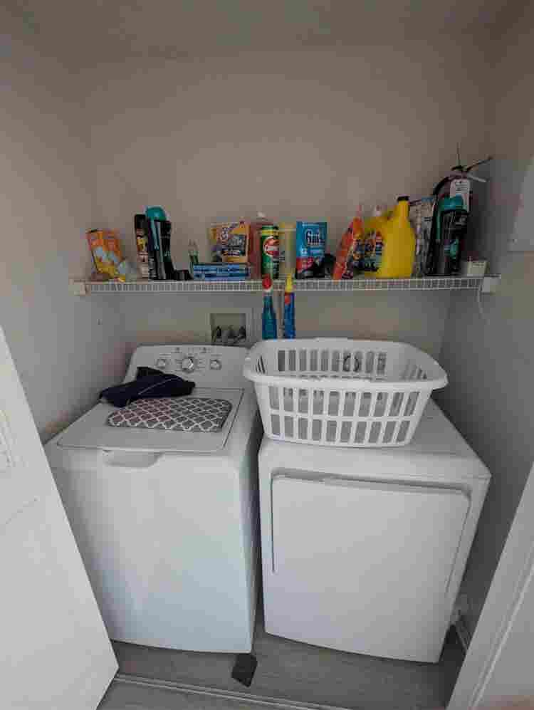 Theverge Orlando Roomate