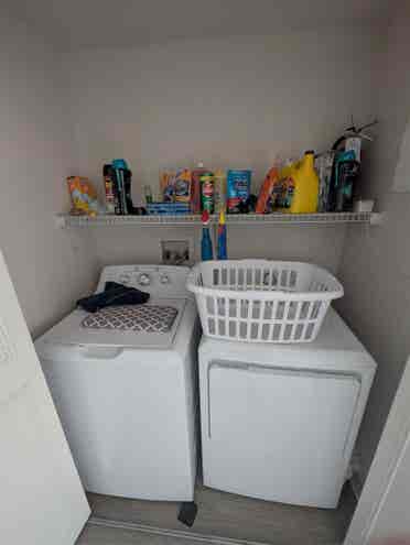 Theverge Orlando Roomate