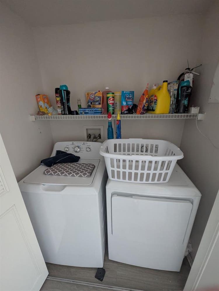 Theverge Orlando Roomate