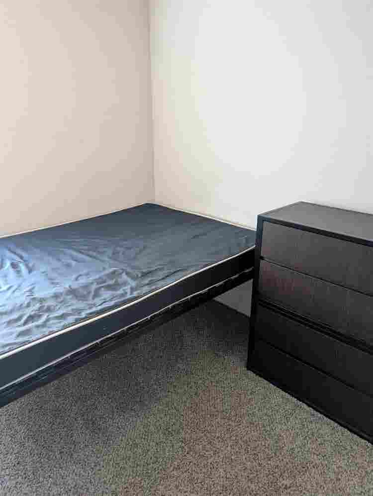 Theverge Orlando Roomate