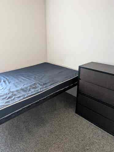 Theverge Orlando Roomate