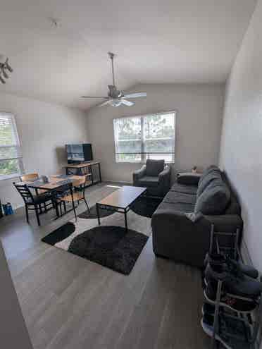Theverge Orlando Roomate