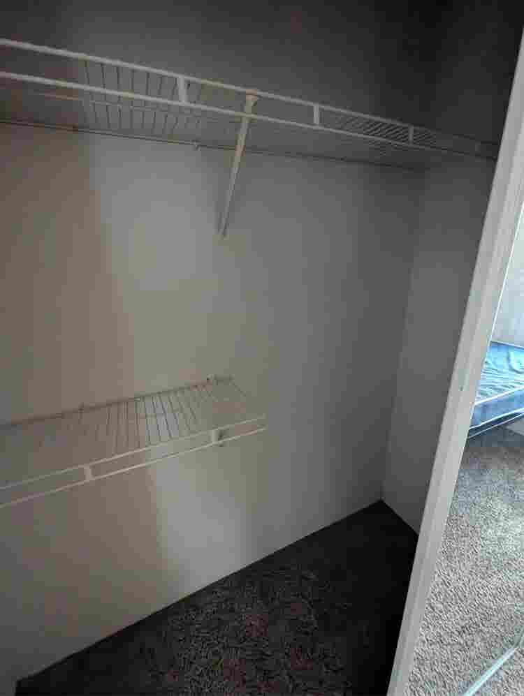 Theverge Orlando Roomate