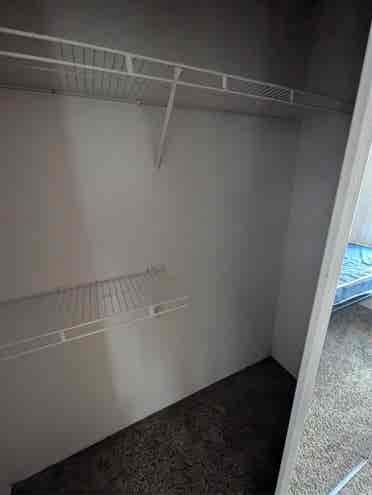 Theverge Orlando Roomate