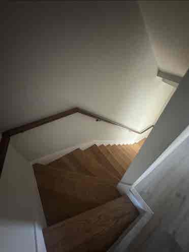 Copeland St, Roxbury MA,