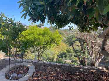 North Clairemont Quiet Canyon Home