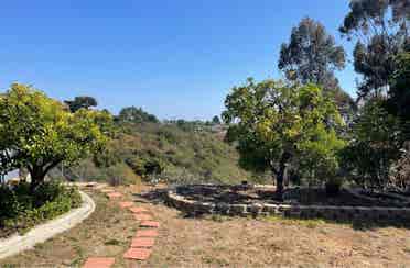 North Clairemont Quiet Canyon Home
