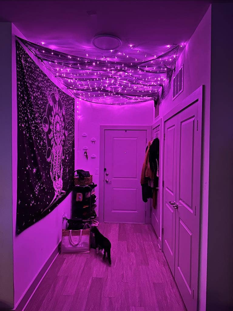 Looking for a roommate