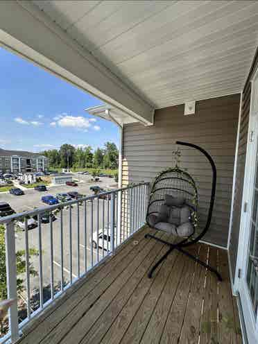 Looking for a roommate