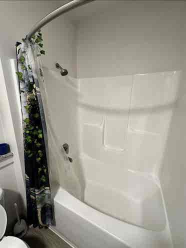Looking for a roommate