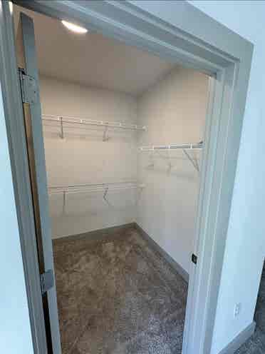 Looking for a roommate
