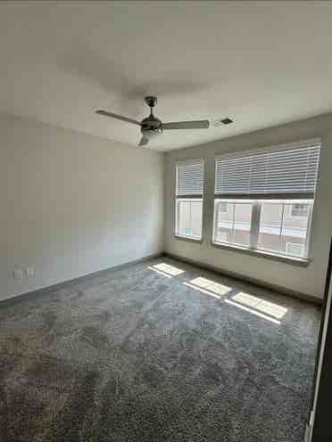 Looking for a roommate